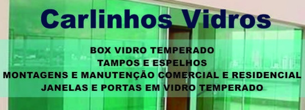 CARLINHOS VIDROS